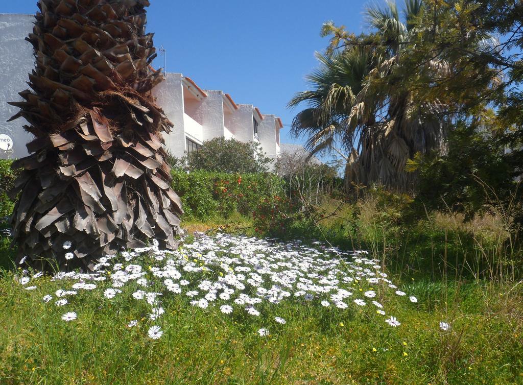 Apartment Tudo Bem Olhao Luaran gambar
